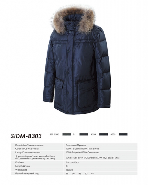 SIDM-B303