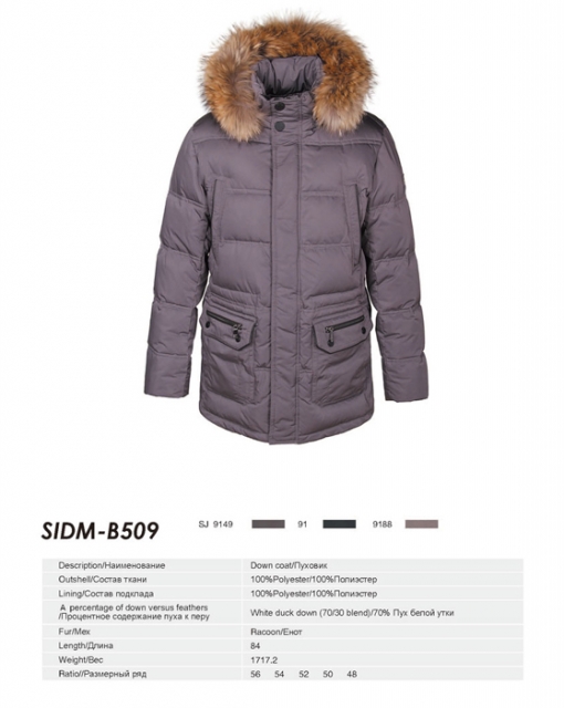 SIDM-B509
