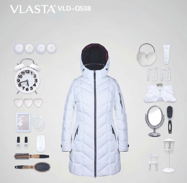 VLD -Q538